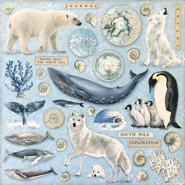动物系列(Animal series) - Paper Whimsy Studio