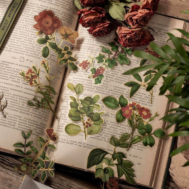 花卉植物系列(Floral and plant series) - Paper Whimsy Studio