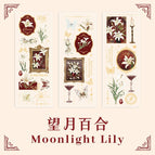 Lily of the Hopeful Moon