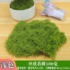 Filamentous moss tender green 100g