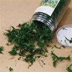 dry moss for landscape