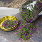 purple and green